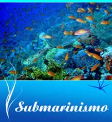 submarinismo viaje